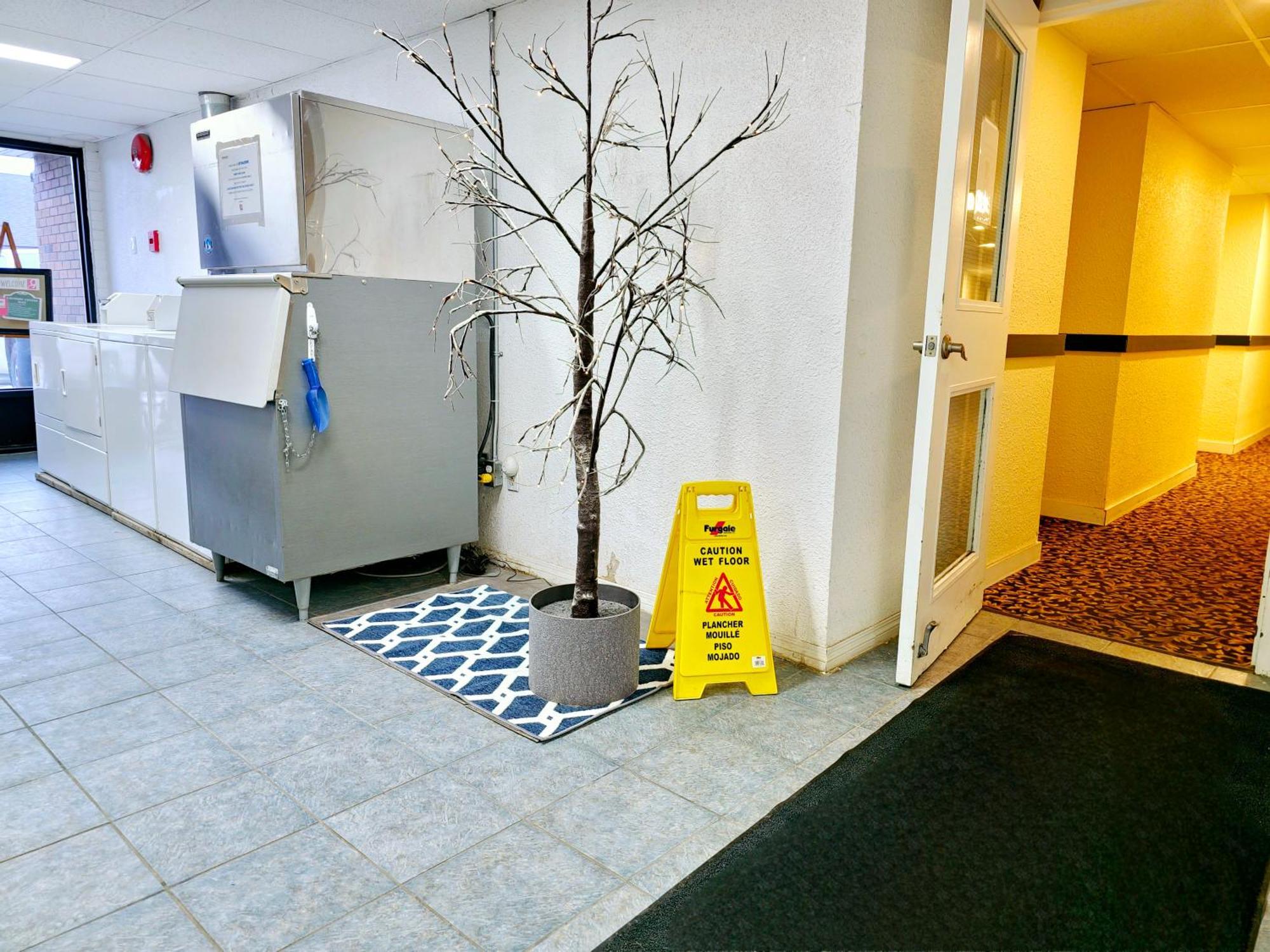 Cloud 9 Inn Whitecourt Buitenkant foto